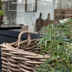 Übertopf Rattan mit Rollen