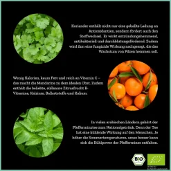 Body Defence - Grünteemischung mit Moringa & Kurkuma