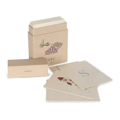 Cardboard Learning Cards FSC