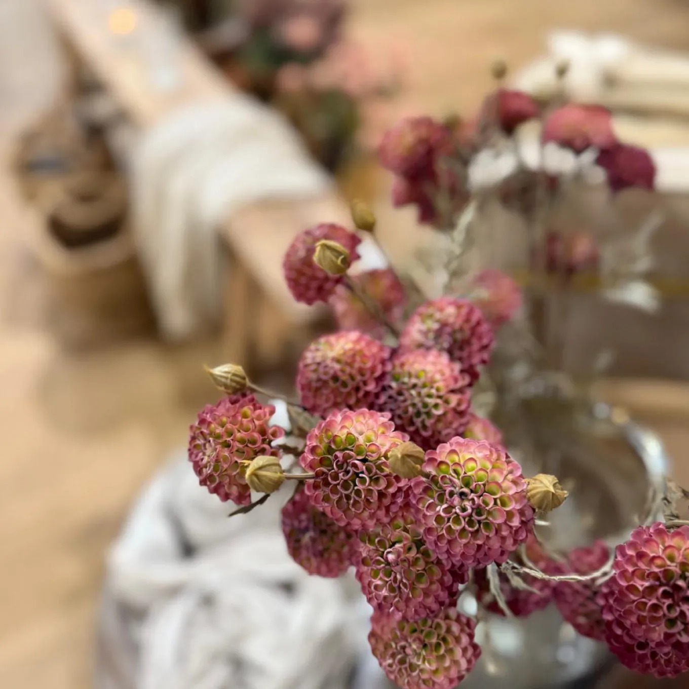 Chrysanthemenzweig Dunkelpink