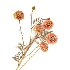 Chrysanthemenzweig Hellrosa