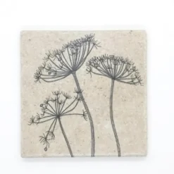 Fliese/Untersetzer Wiesenbärenklau