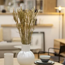 Phleum Pratensis Bund