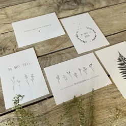 Postkarten-Set Slowlay