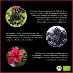 Tutti Fruitea Dream - Früchtetee mit Waldfrüchten