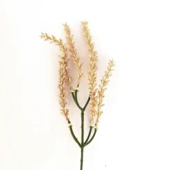 Weizen Zweig Goldgelb