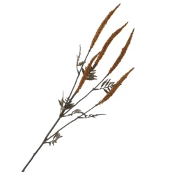 Weizen Zweig Ocker