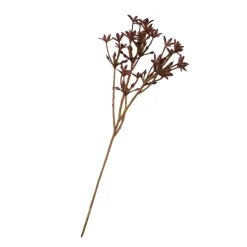 Zierzweig Scallion Rostrot